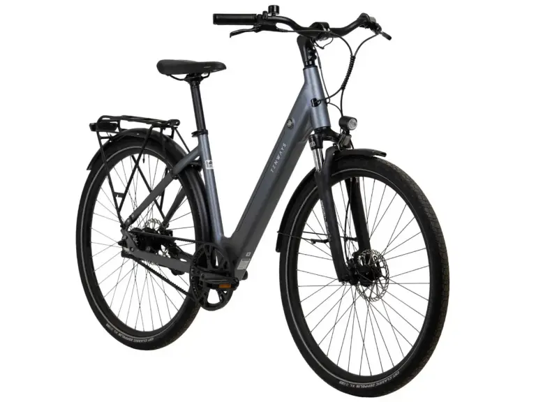 Tenways CGO800S in der Farbe anthrazit in Leipzig kaufen