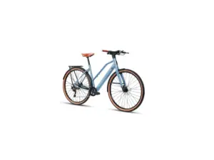 Deruiz Turmali Premium mit Tiefeinstieg im eBike-Haus.de