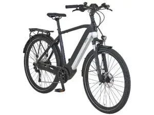Prophete 22.ETS.15 mit Diamant-Rahmen im eBike-Haus.de