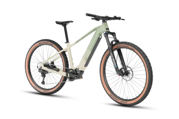 Deruiz Dolomit eMountainbike grün Deruiz Dolomit eMountainbike grün