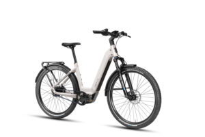 Deruiz eBike 180kg
