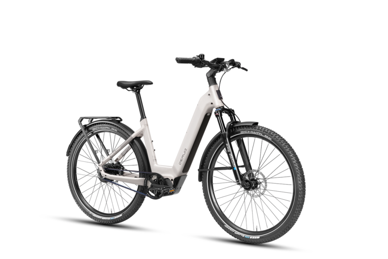 Deruiz eBike 180kg