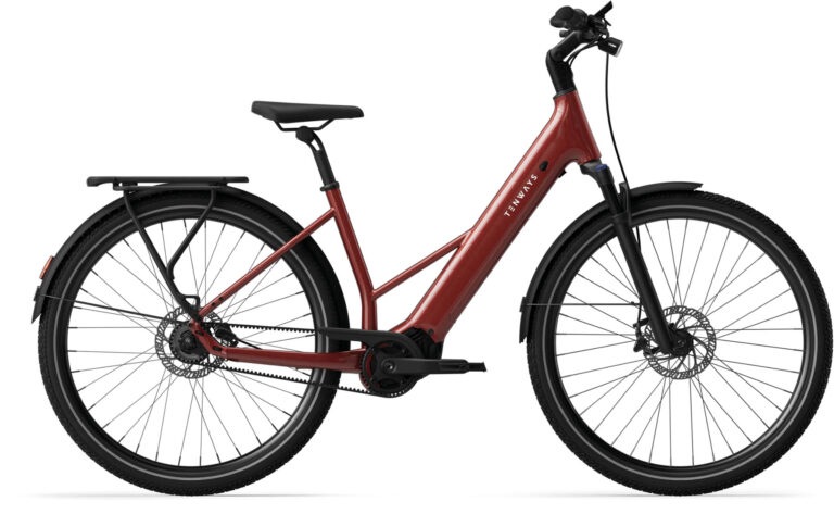 Tenways City eBike bequemer Einstieg CGO Air Belt