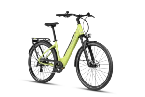 Deruiz Quartz 2026 city leaf