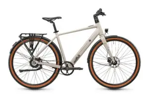 Wittich Luis Riemen 3-Gang Automatik eBike