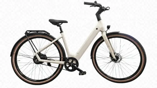 Wittich Luise taupe Automatik Wittich Luise taupe Automatik